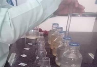 Analysis of chemical, physical and microbial parameters of ponds water in Talang section of Dashtiari-Chabahar city