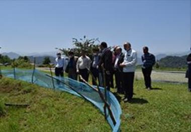 Visit of the head of Gilan Management and Planning Organization
