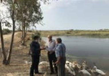 The general manager of the Mazandaran Department of Fisheries and the head of the Caspian Sea Ecology Research Center visited a 100 - hectare farm in
