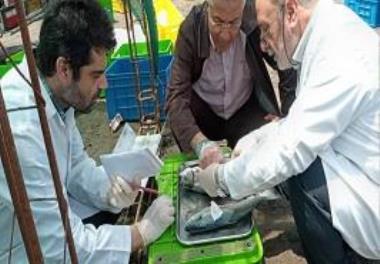 Dr. Bahmani visited scientific operations of researchers of the National Inland Water Aquaculture Institute