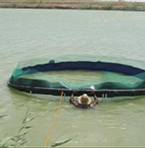 Implementation of a pilot project of sea bass culture in agricultural wastewater