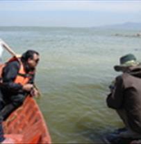 Continuing to monitor Artemia Stock in Lake Urmia in 2019-2020 with the survival of Artemia urmiana