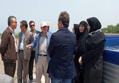 Visit to farm site of Jahad Nasr Kurdistan Company for cage fish farming / Holding the national specialized meeting on cage fish farming by the end of