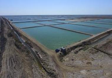 Shrimp culture ponds in Bushehr province are facing a shortage of 