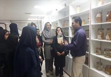 Shrimp Research Institute of Iran collaborated with an NGO to promote marine environmental awareness