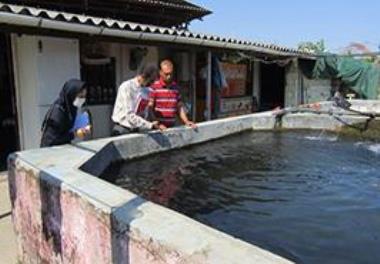 Production assistants of the Coldwater Fishes Research Center of Tonekabon visited the coldwater fish farms in Abbasabad County
