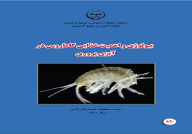 Publication of a promotional handbook by researchers of Shahid Motahari Yasouj center