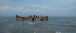Evaluation of socio-economic status of fishing activities of bony fishes from beach seining in Golestan province